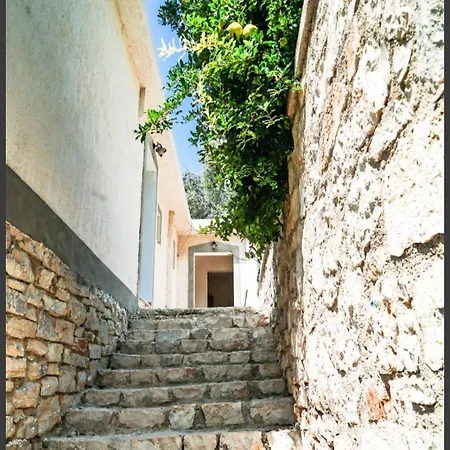 Amantius Apartmán Borsh